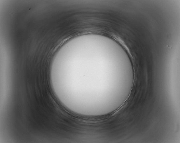 X0000085320154200703091122