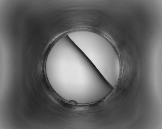 X0000085320155200703091122