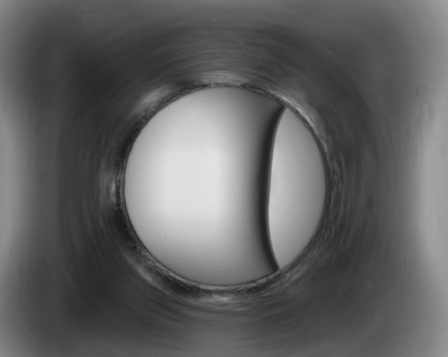X0000085320157200703091122