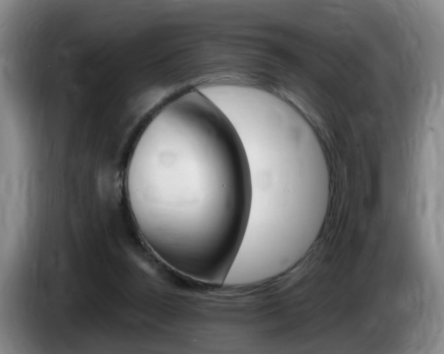 X0000085320160200703091122