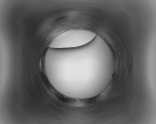 X0000085320166200703091122