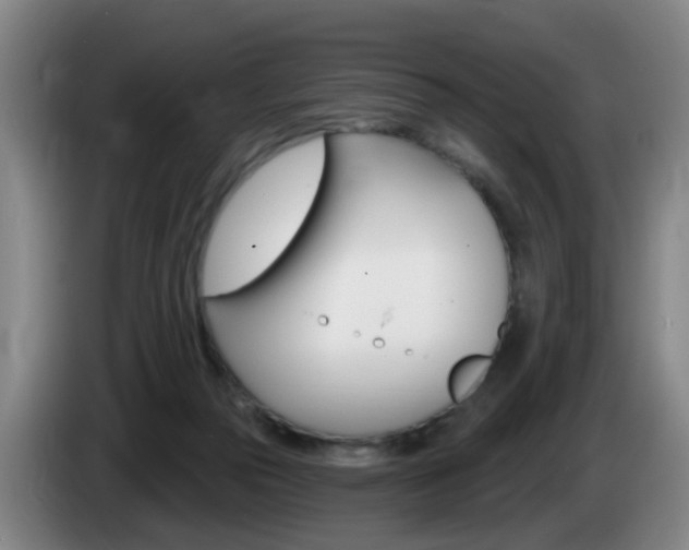 X0000085320169200703091122