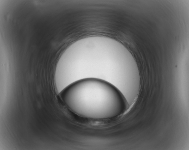X0000085320174200703091122