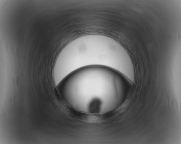 X0000085320176200703091122