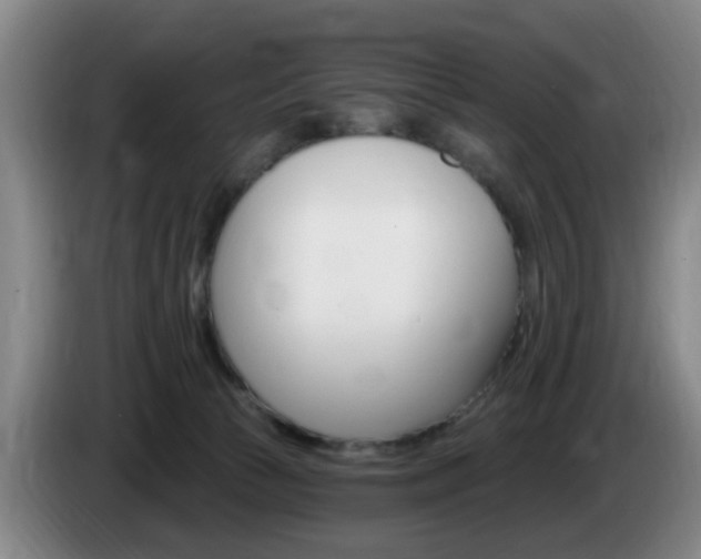 X0000085320177200703091122