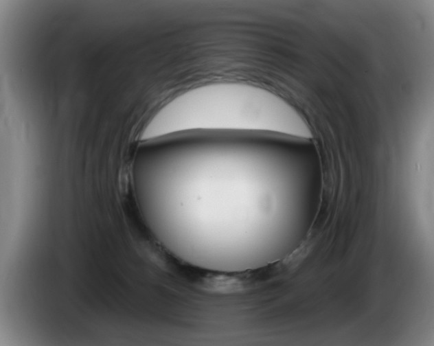 X0000085320180200703091123