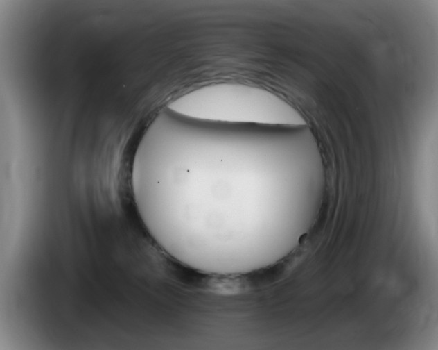 X0000085320181200703091123