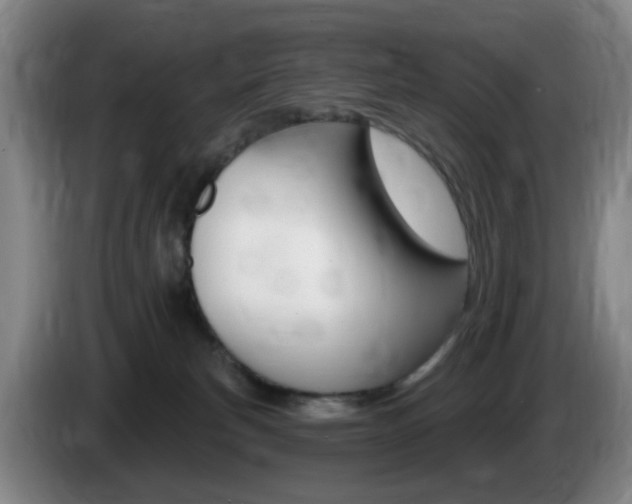 X0000085320183200703091123
