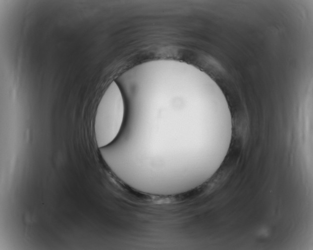 X0000085320185200703091123