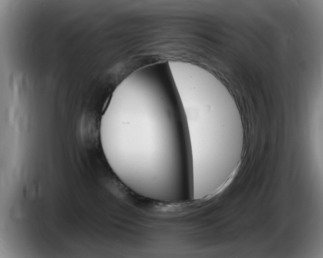 X0000085320186200703091123