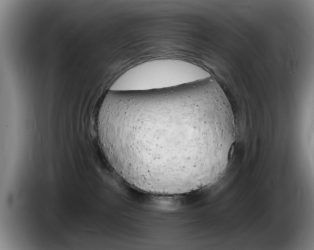 X0000085320187200703091123