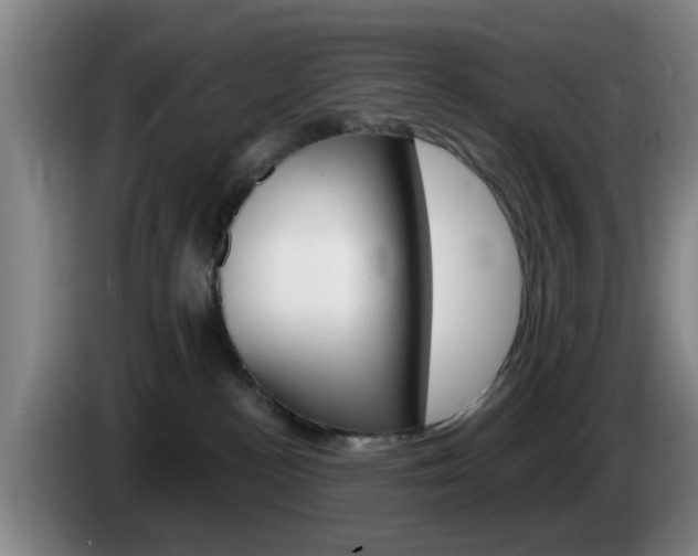 X0000085320188200703091123