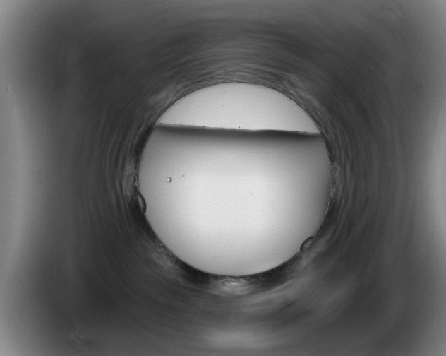 X0000085320189200703091123