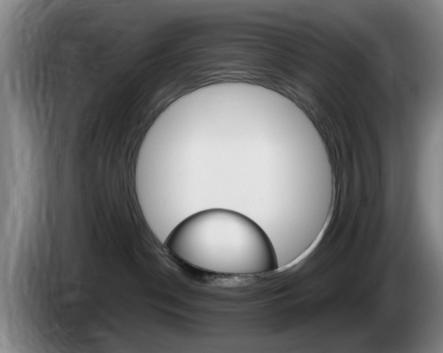 X0000085320190200703091123