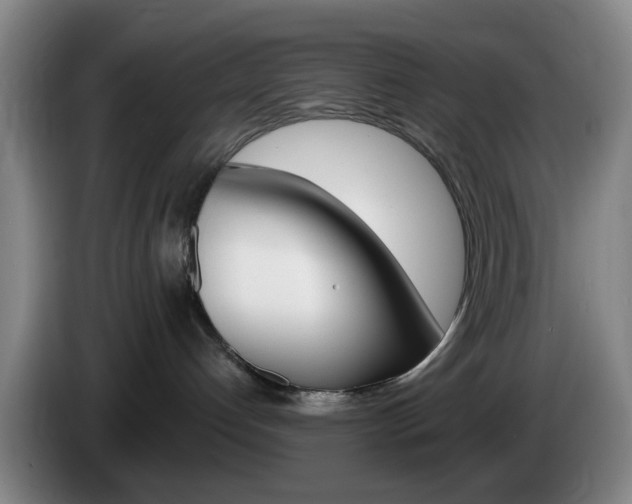 X0000085320192200703091123