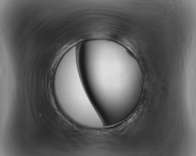 X0000085320193200703091122