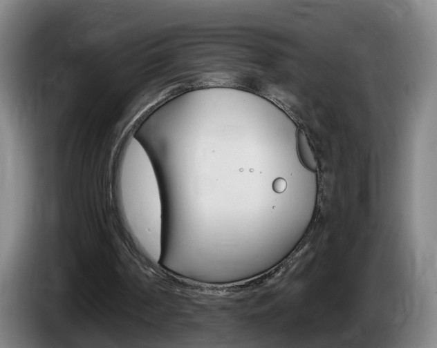 X0000085320194200703091122