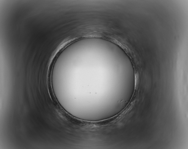 X0000085320195200703091122