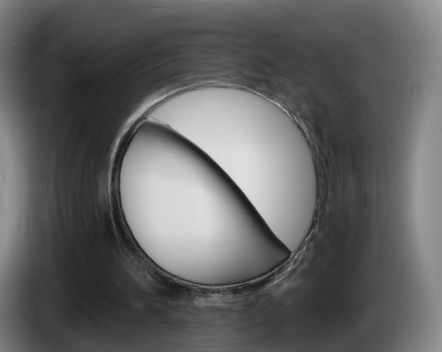 X0000085320196200703091122