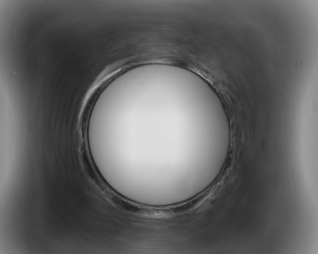 X0000085320198200703091122