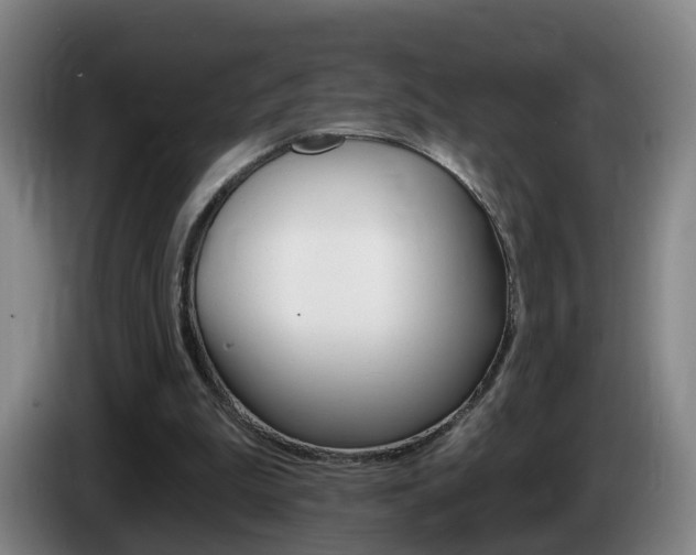 X0000085320199200703091122