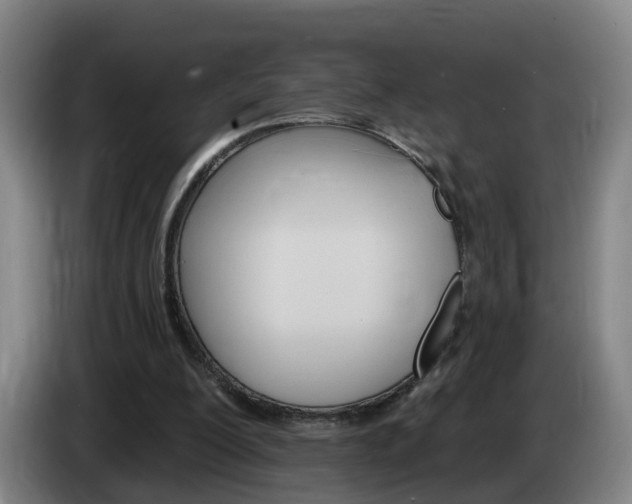 X0000085320200200703091122