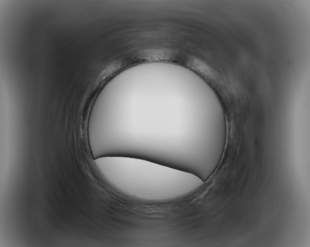 X0000085320202200703091122