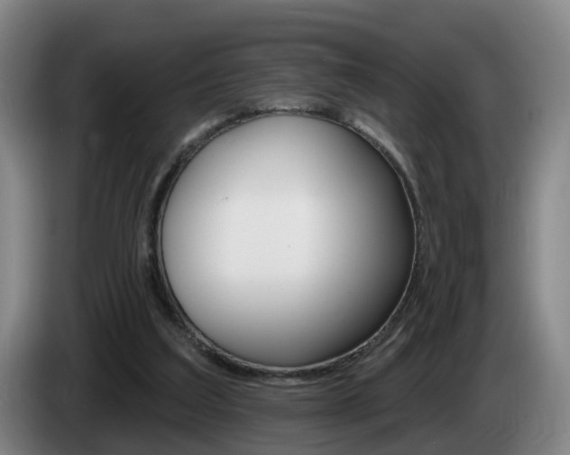 X0000085320203200703091122