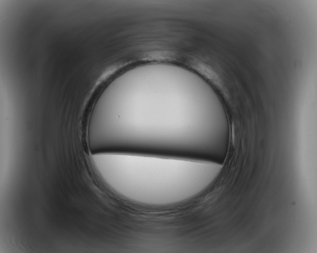 X0000085320204200703091122