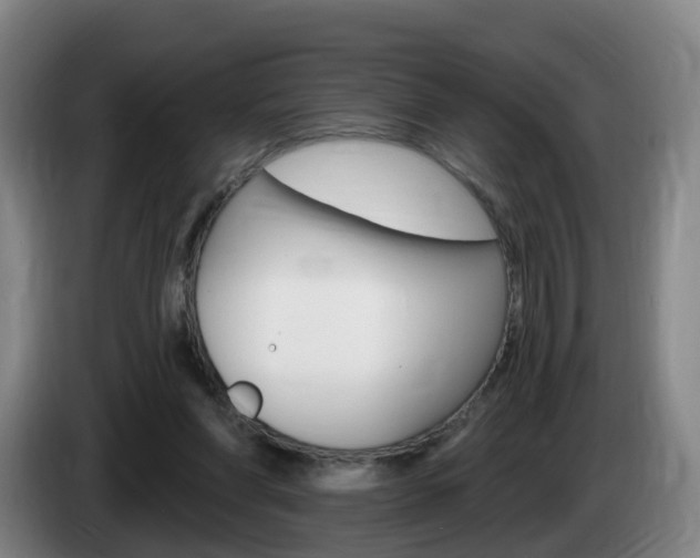 X0000085320206200703091122
