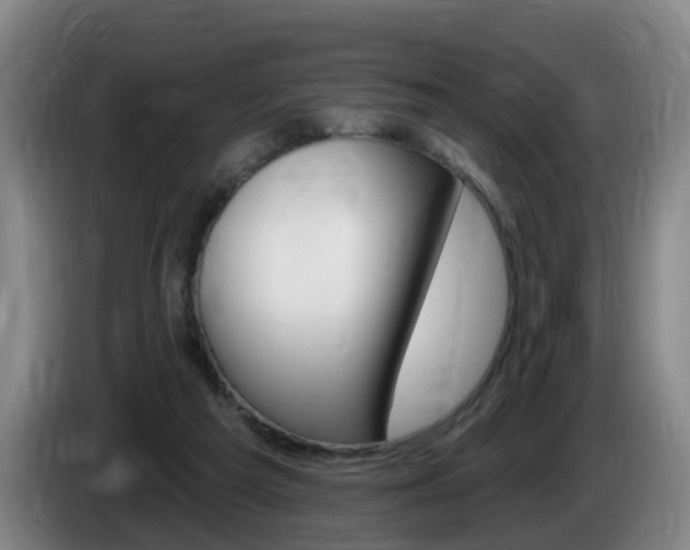 X0000085320209200703091122
