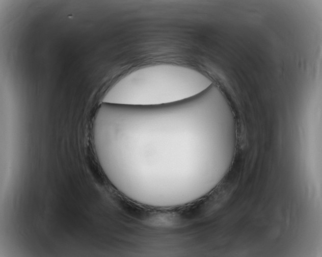 X0000085320210200703091122