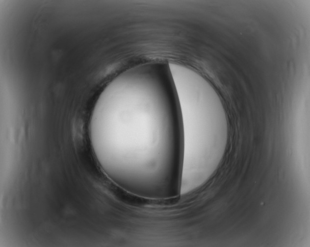 X0000085320211200703091122