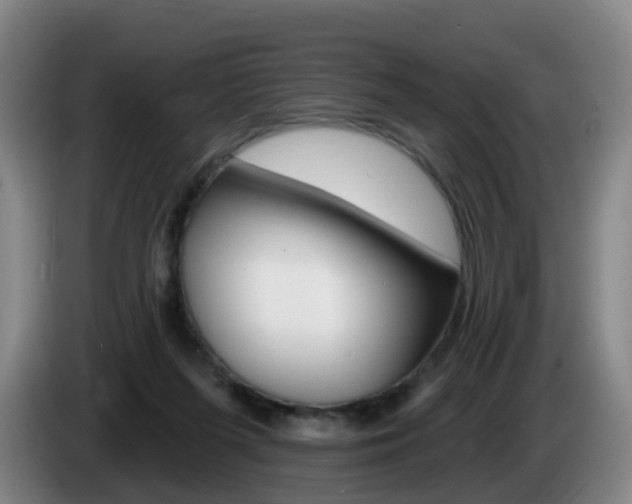 X0000085320215200703091122