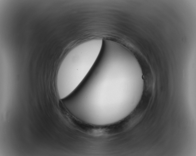 X0000085320216200703091122