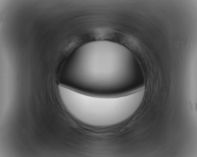 X0000085320219200703091122