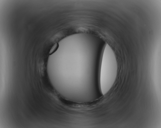 X0000085320223200703091122