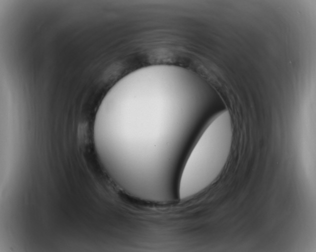 X0000085320224200703091122