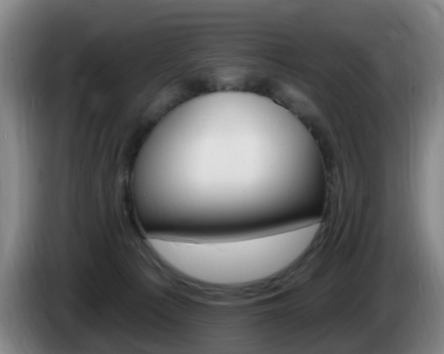 X0000085320225200703091122