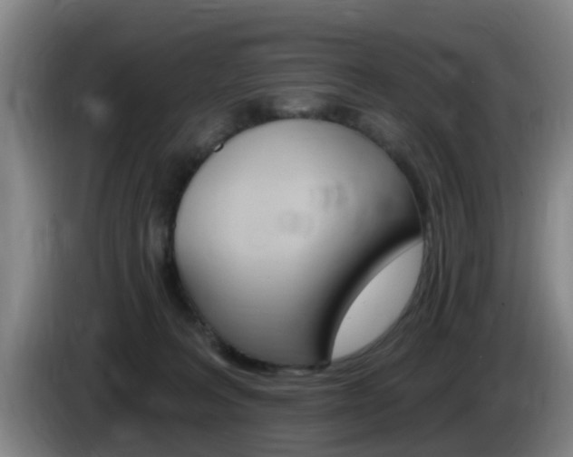 X0000085320227200703091122