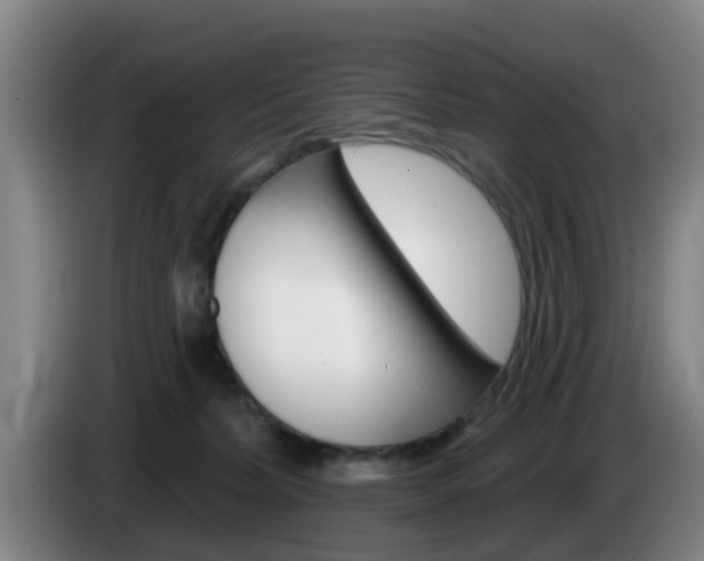 X0000085320228200703091122