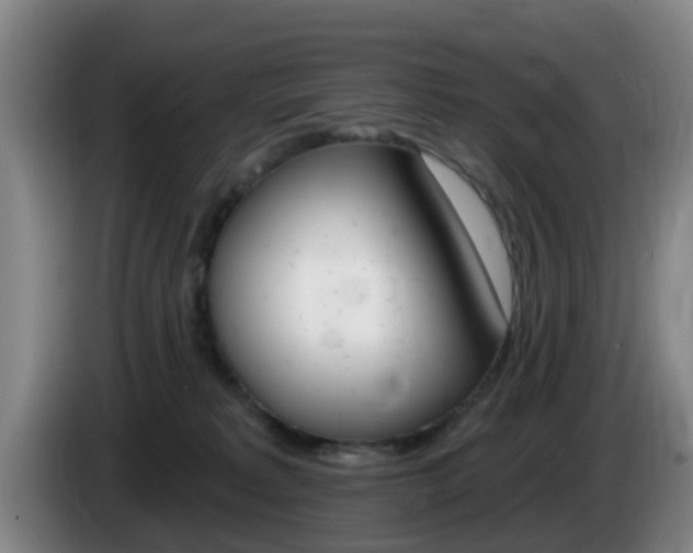 X0000085320229200703091121