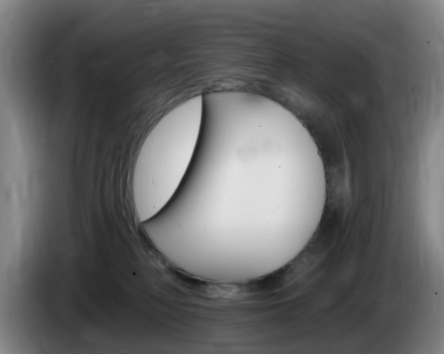 X0000085320230200703091121