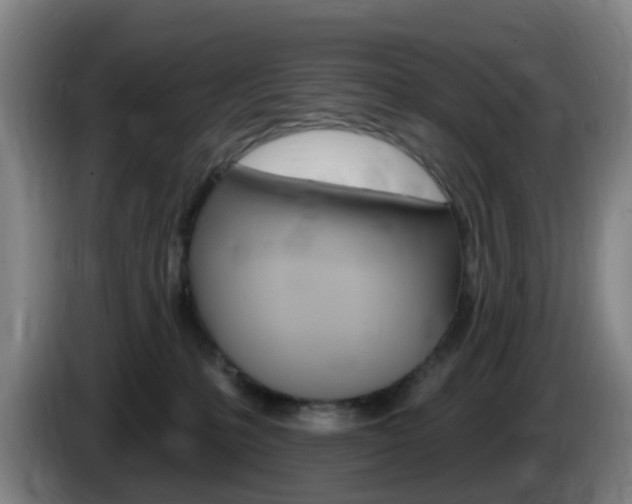 X0000085320231200703091121