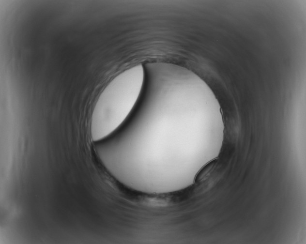 X0000085320232200703091121