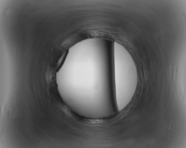 X0000085320233200703091121
