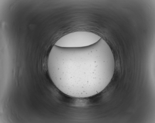 X0000085320234200703091121