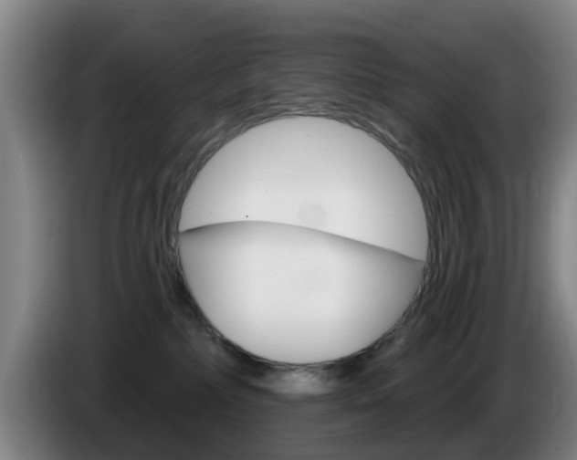 X0000085320236200703091121