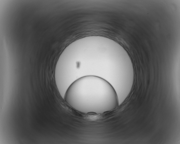 X0000085320237200703091121