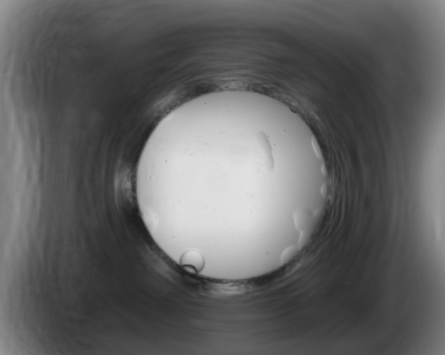 X0000085320238200703091121